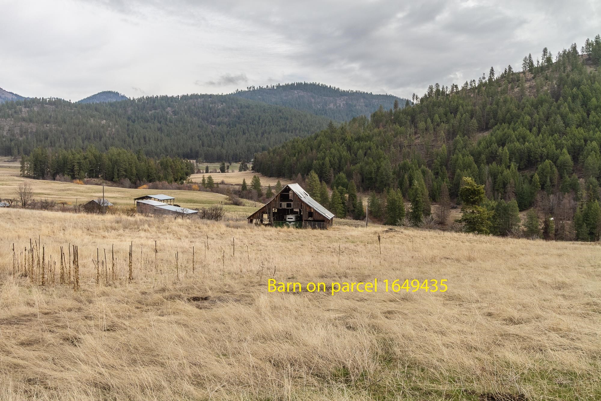 3600-blk Beck Road Rice, WA 99167 - Photo 14 of 25