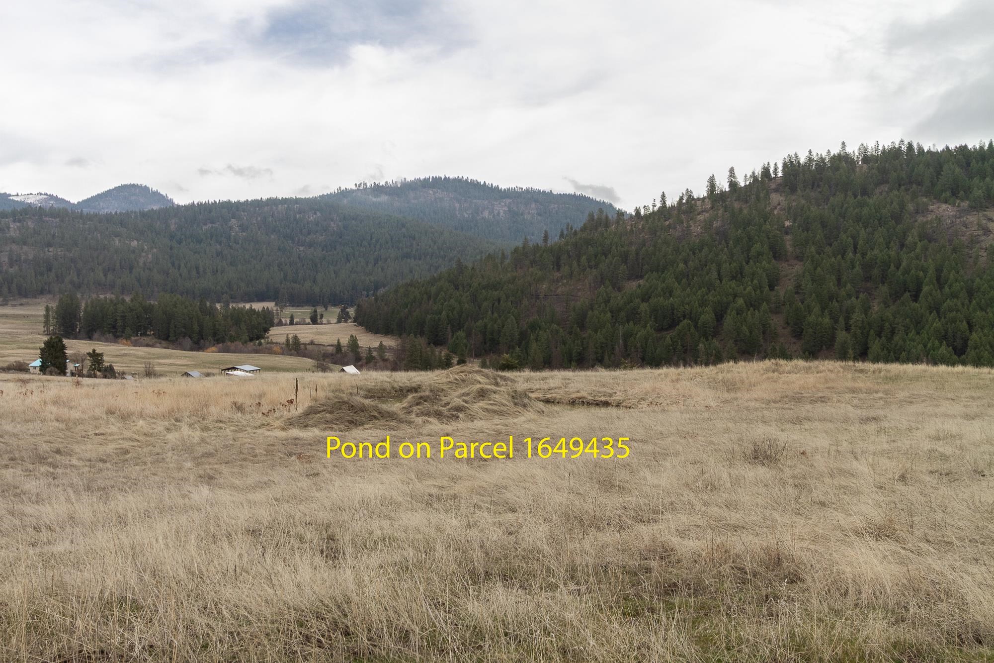 3600-blk Beck Road Rice, WA 99167 - Photo 6 of 25