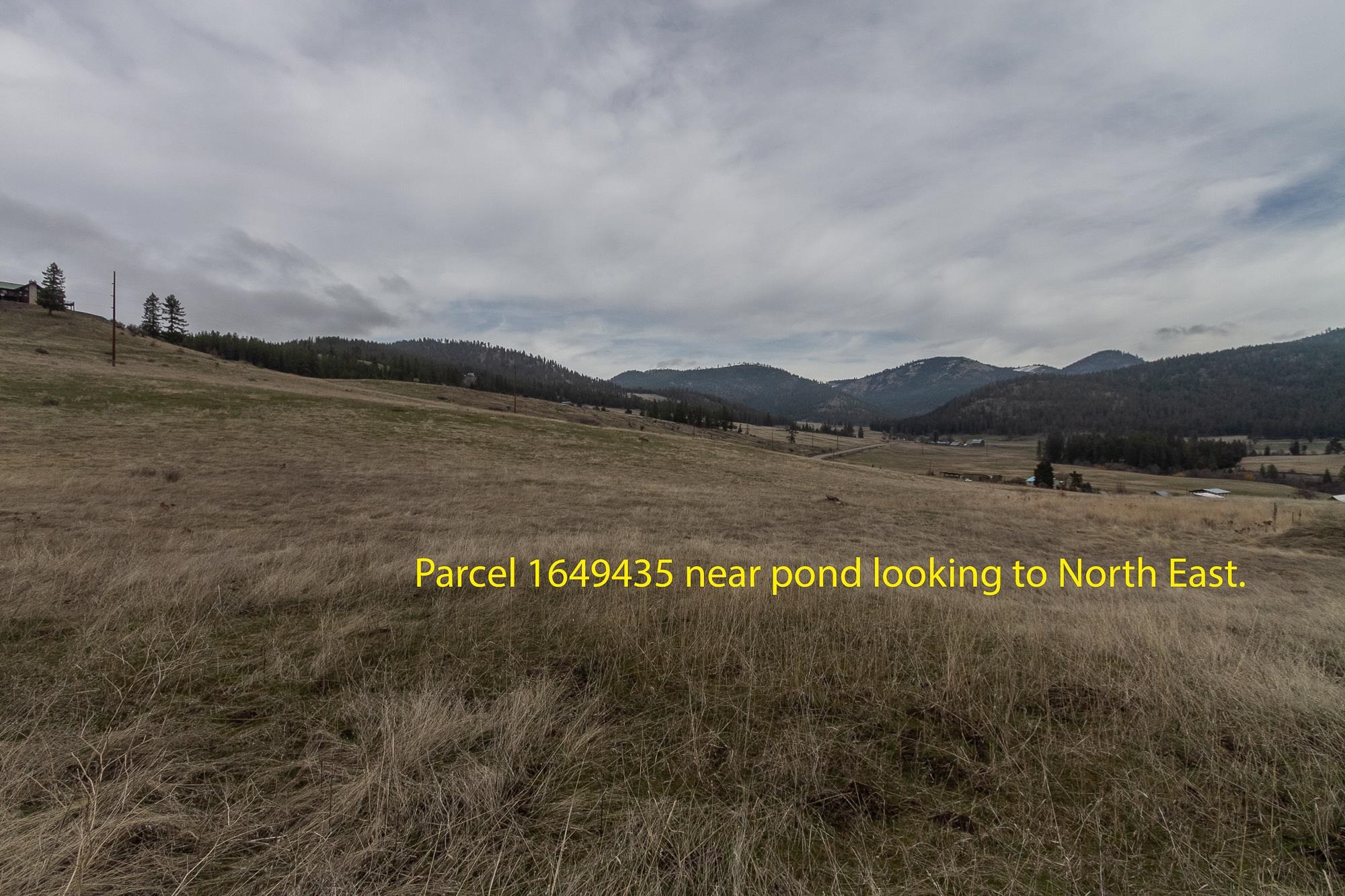 3600-blk Beck Road Rice, WA 99167 - Photo 8 of 25