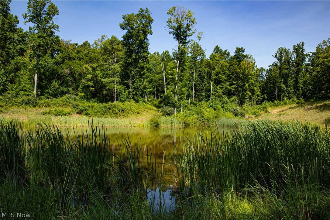 27339 Tabor Ridge Road Caldwell, OH 43724 - Photo 44 of 50