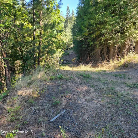 $145,000 | Nka Hells Gulch Road, St. Maries, ID 83861