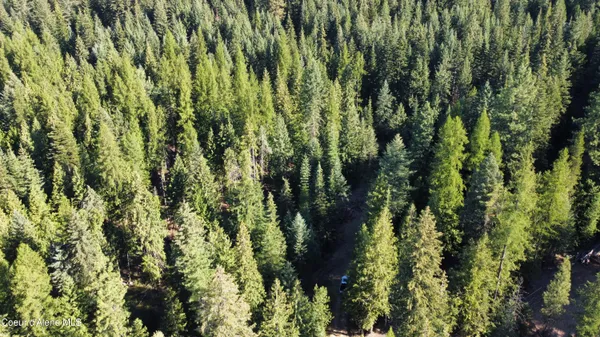 $145,000 | Nka Hells Gulch Road, St. Maries, ID 83861
