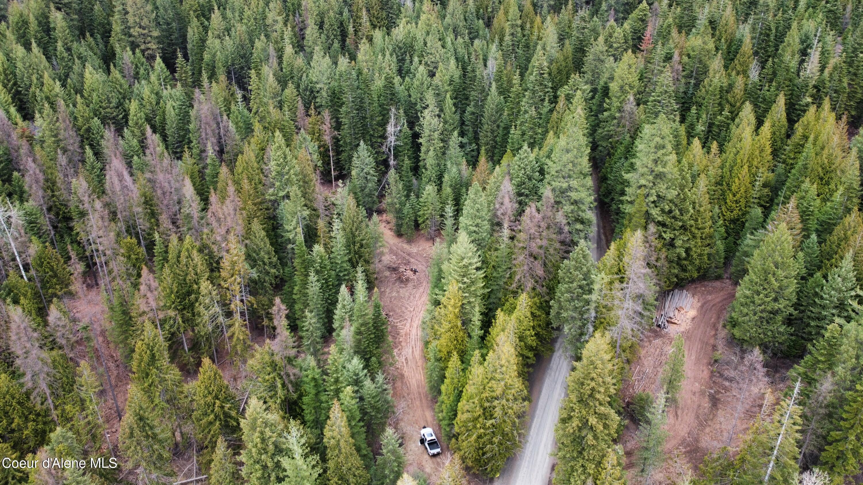Nka Hells Gulch Road St. Maries, ID 83861 - Photo 14 of 20 dji_fly_20260331_164050_964_177500049748