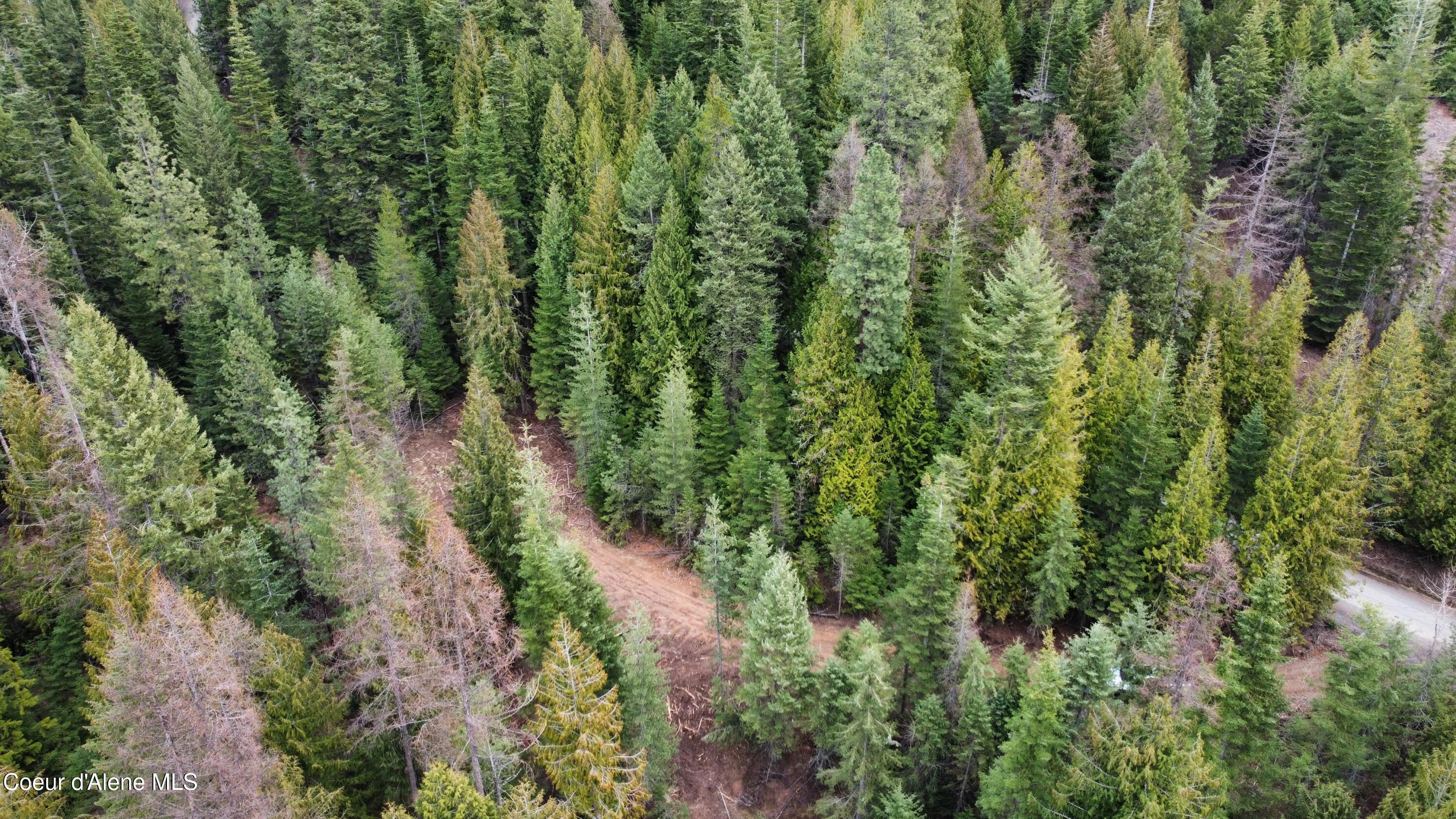 Nka Hells Gulch Road St. Maries, ID 83861 - Photo 16 of 20 dji_fly_20260331_163942_962_177500050841