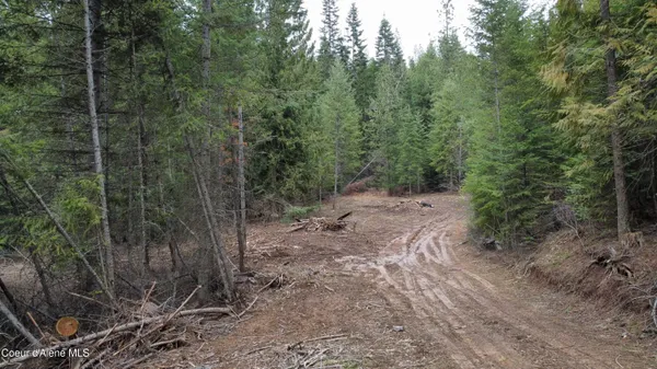 $145,000 | Nka Hells Gulch Road, St. Maries, ID 83861