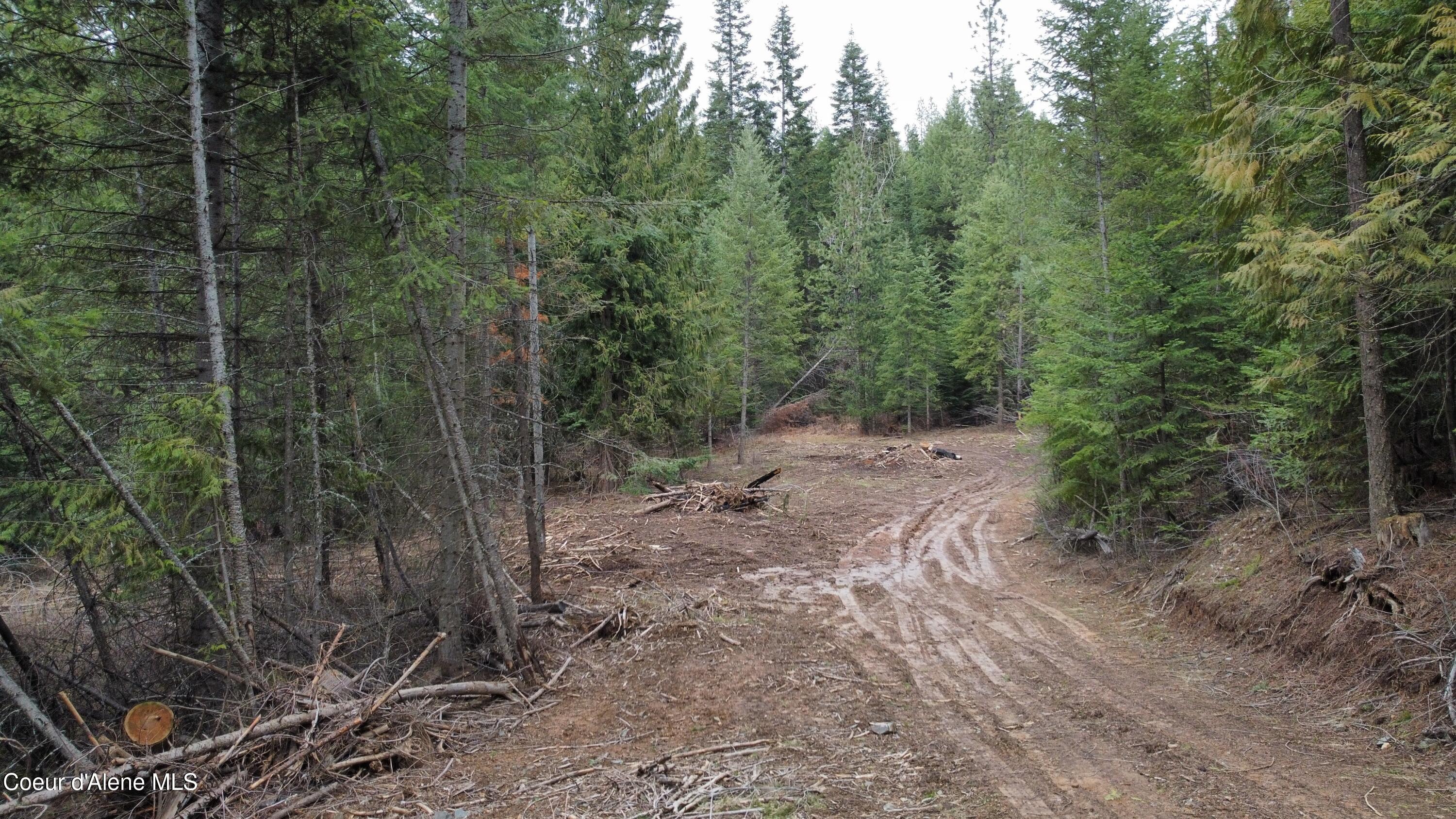 Nka Hells Gulch Road St. Maries, ID 83861 - Photo 17 of 20 dji_fly_20260331_163708_958_177500053746