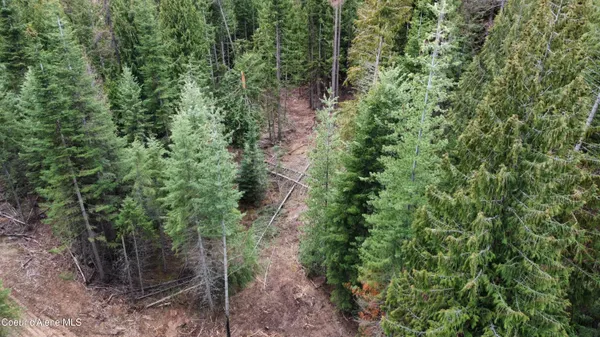 $145,000 | Nka Hells Gulch Road, St. Maries, ID 83861