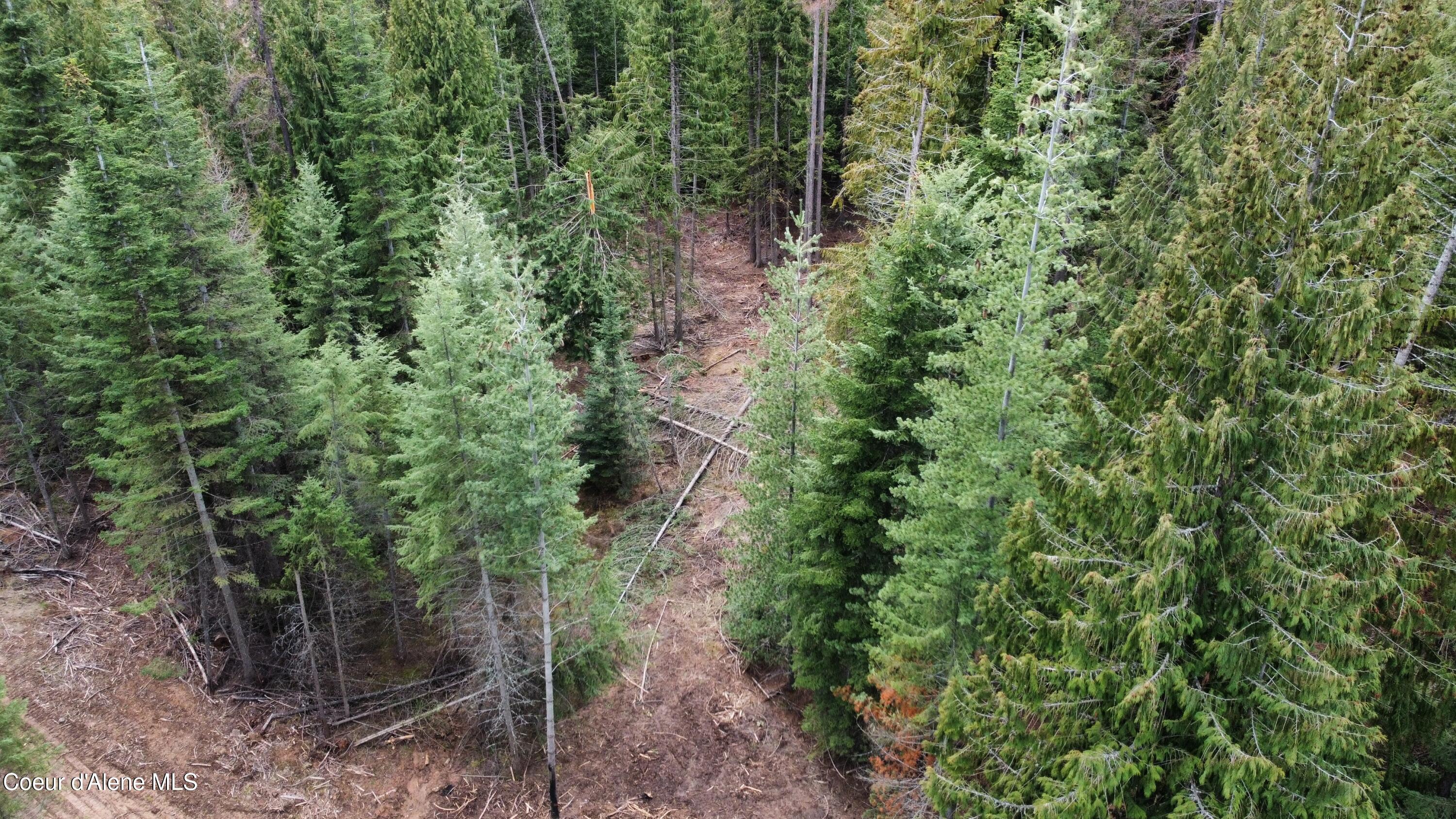 Nka Hells Gulch Road St. Maries, ID 83861 - Photo 18 of 20 dji_fly_20260331_163822_959_177500053235