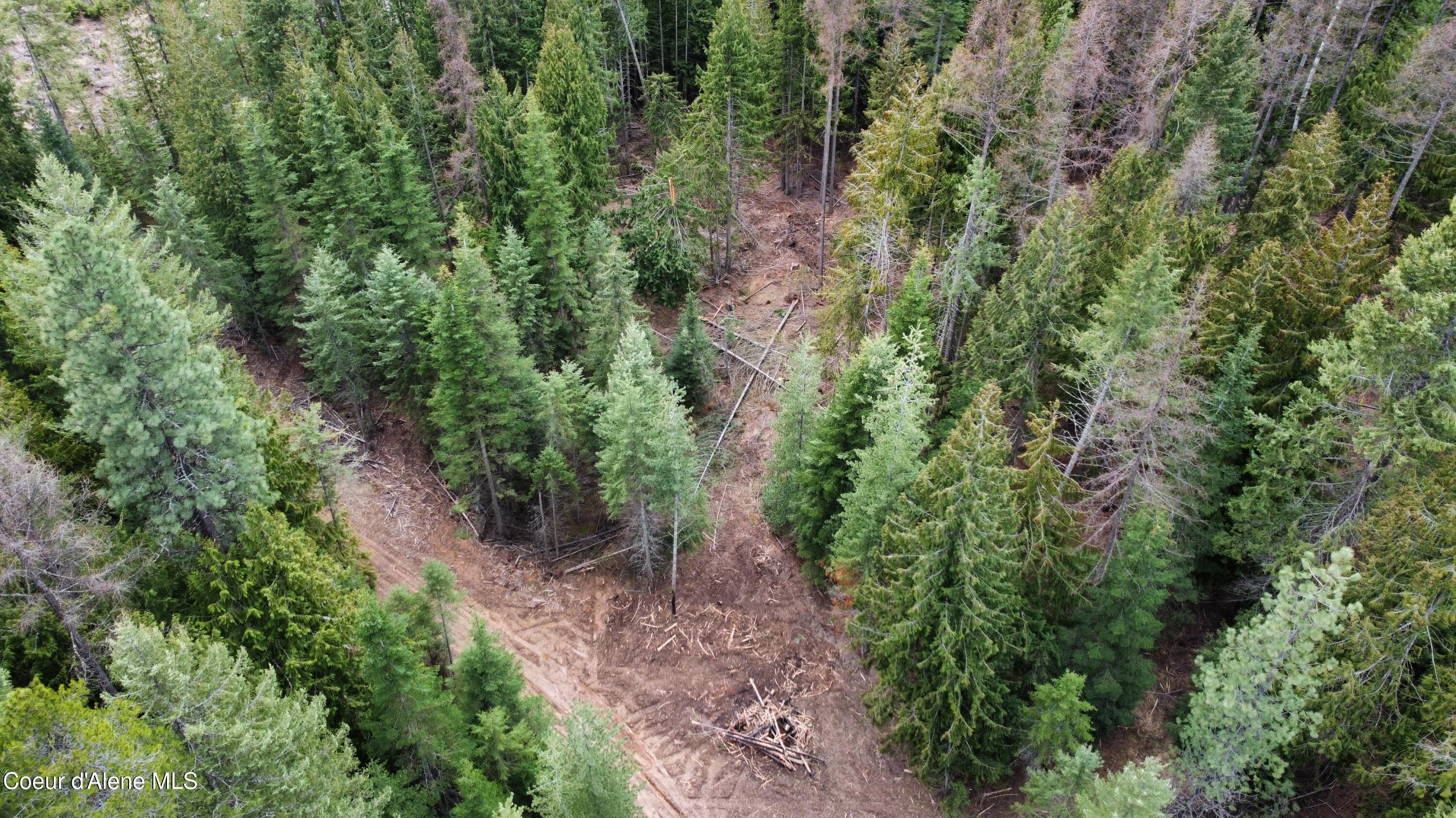 Nka Hells Gulch Road St. Maries, ID 83861 - Photo 19 of 20 dji_fly_20260331_163908_960_177500052417