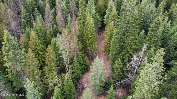 $145,000 | Nka Hells Gulch Road, St. Maries, ID 83861