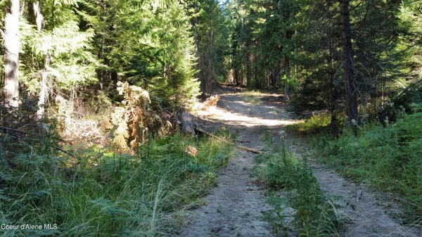 $145,000 | Nka Hells Gulch Road, St. Maries, ID 83861