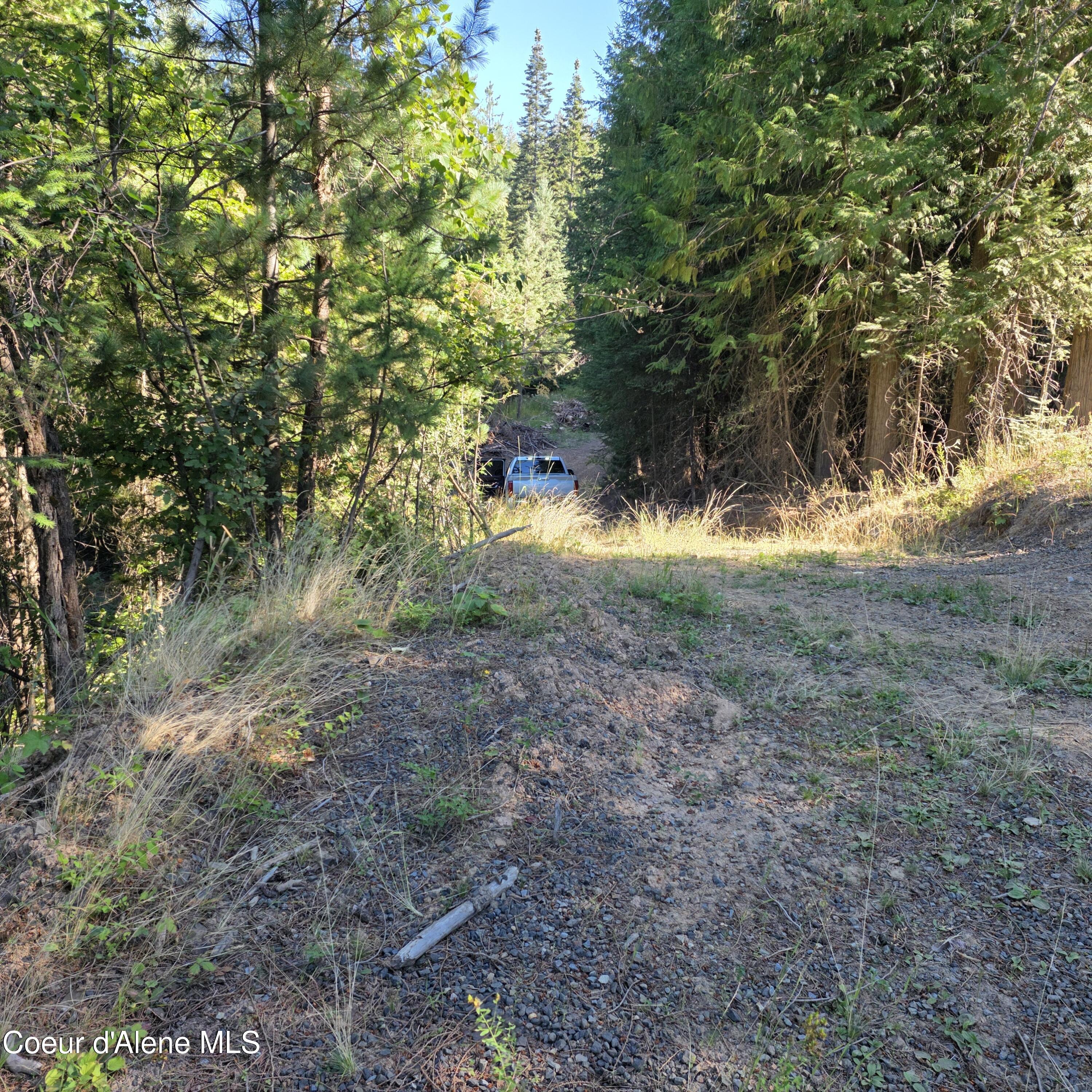 Nka Hells Gulch Road St. Maries, ID 83861 - Photo 6 of 20 20250812_090102