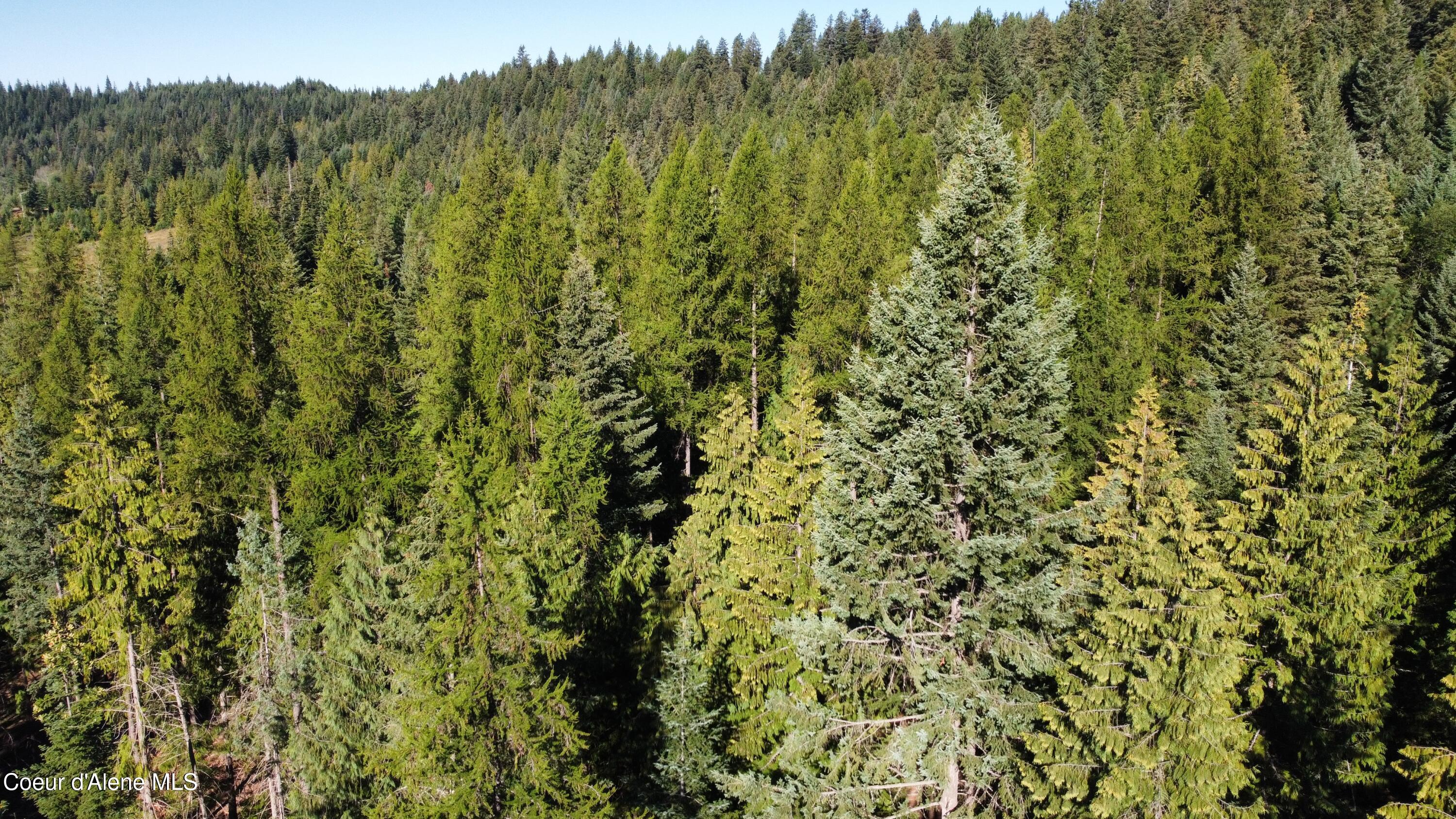 Nka Hells Gulch Road St. Maries, ID 83861 - Photo 8 of 20 dji_fly_20250812_084910_868_175501423343