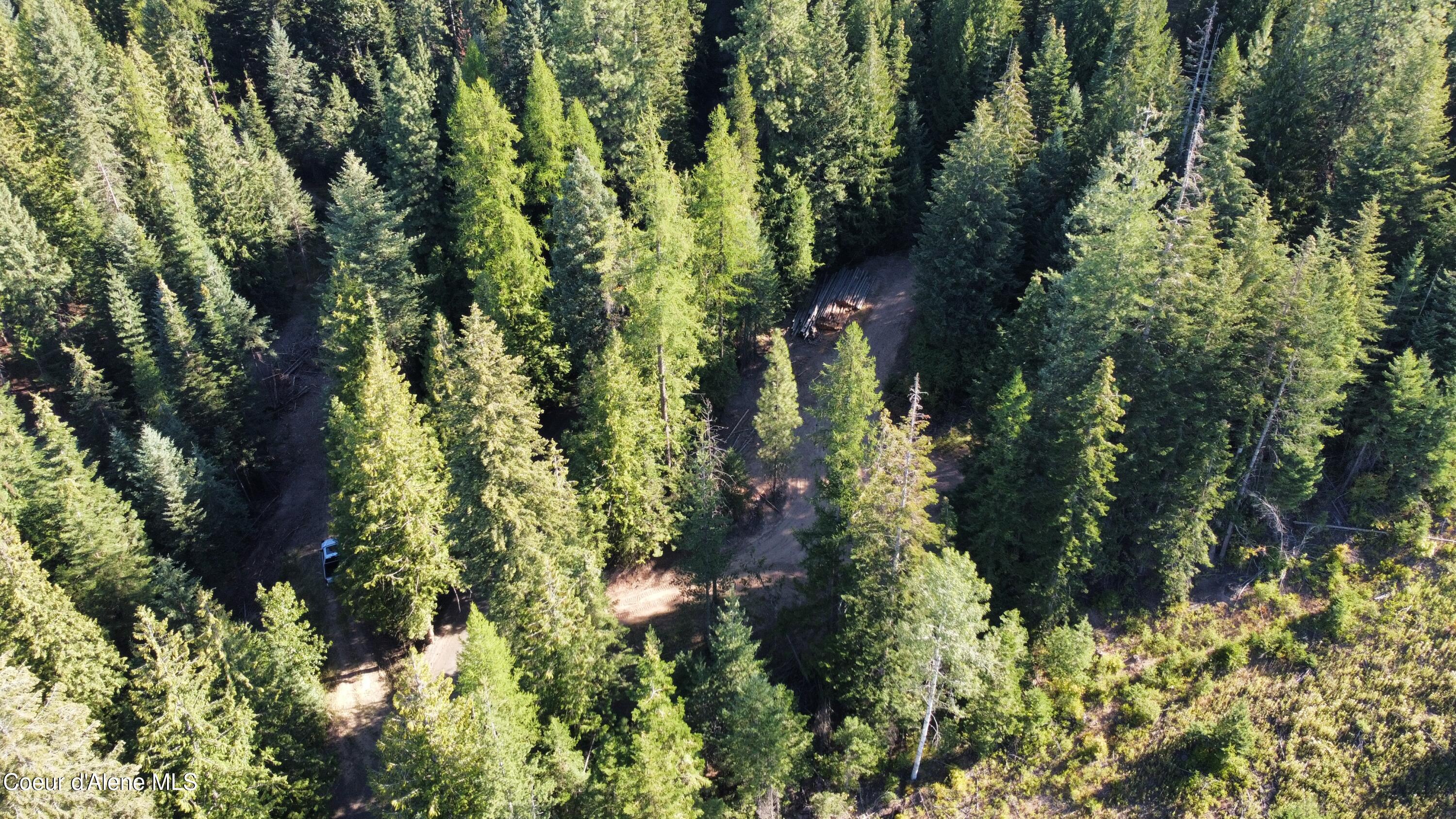 Nka Hells Gulch Road St. Maries, ID 83861 - Photo 10 of 20 dji_fly_20250812_085048_871_175501423070