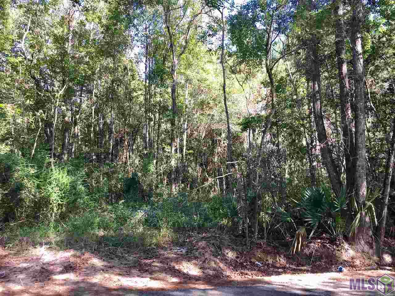 35524 Perkins Road Denham Springs, LA 70706 - Photo 4 of 5