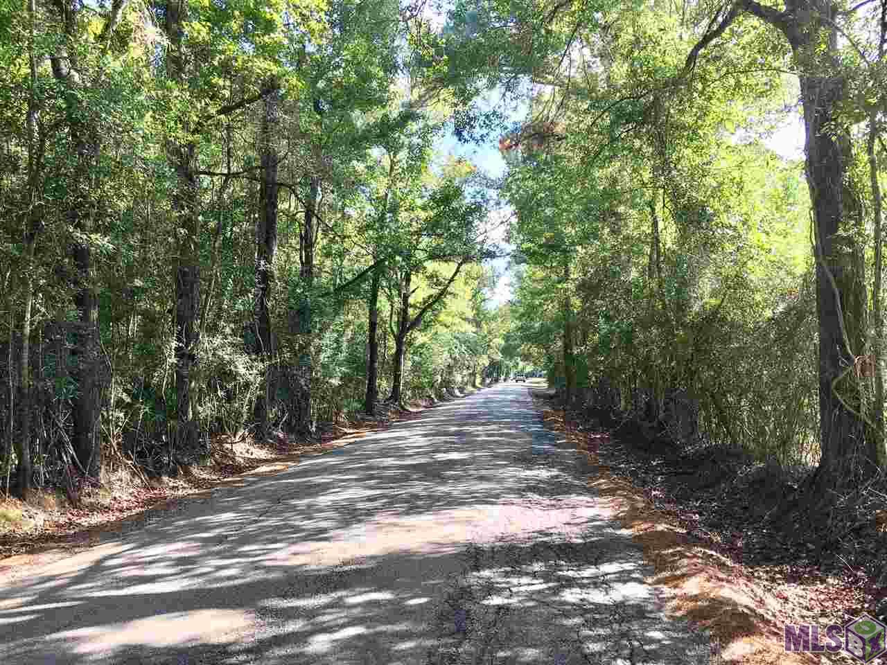 35524 Perkins Road Denham Springs, LA 70706 - Photo 5 of 5