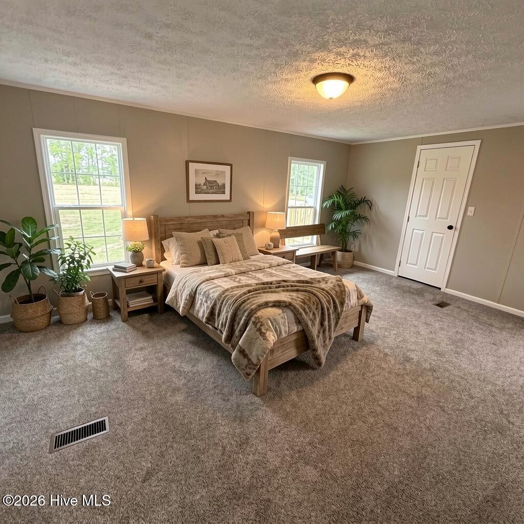 300 Whitemon Lane Edenton, NC 27932 - Photo 15 of 32 IMG_5484