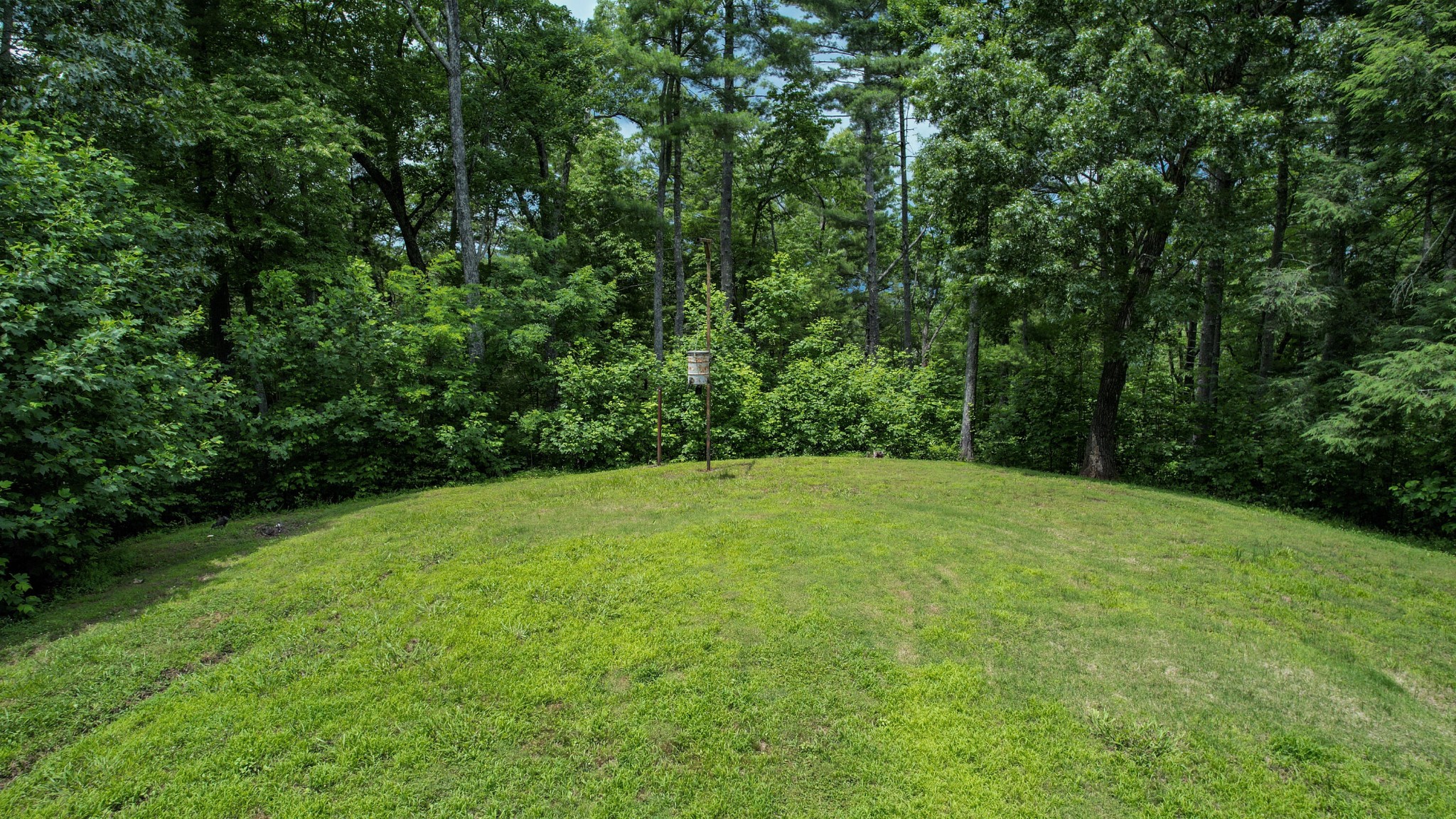 201 Campbell Branch Road Reliance, TN 37369 - Photo 84 of 99