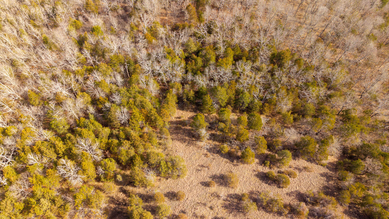 0 Rimstone Lane Gainesville, MO 65655 - Photo 3 of 17 23 acres001
