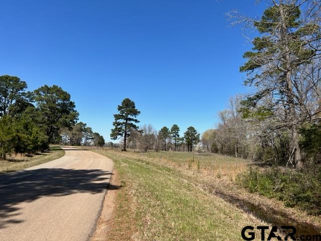 31-acres Off Watson Road Kilgore, TX 75662 - Photo 15 of 38 a view of a yard