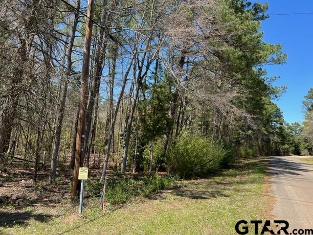 31-acres Off Watson Road Kilgore, TX 75662 - Photo 16 of 38 a view of backyard with green space