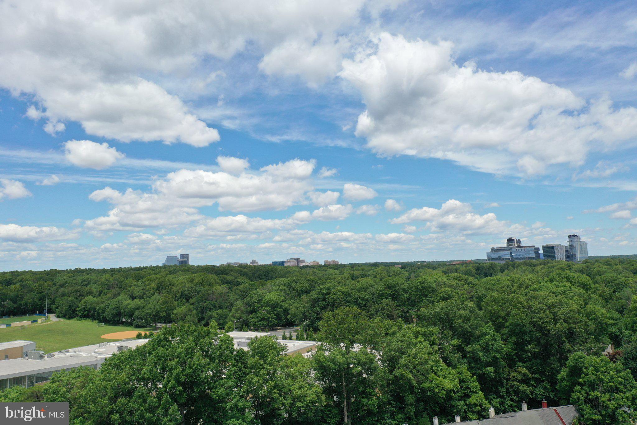 2121 Whisper Way Reston, VA 20191 - Photo 61 of 61 Lush greenery meets a vibrant sky.