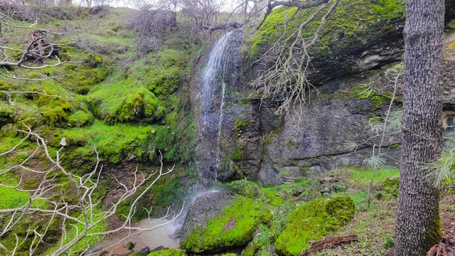 $119,500 | Lot 190 Straight Arrow Road, Igo, CA 96047