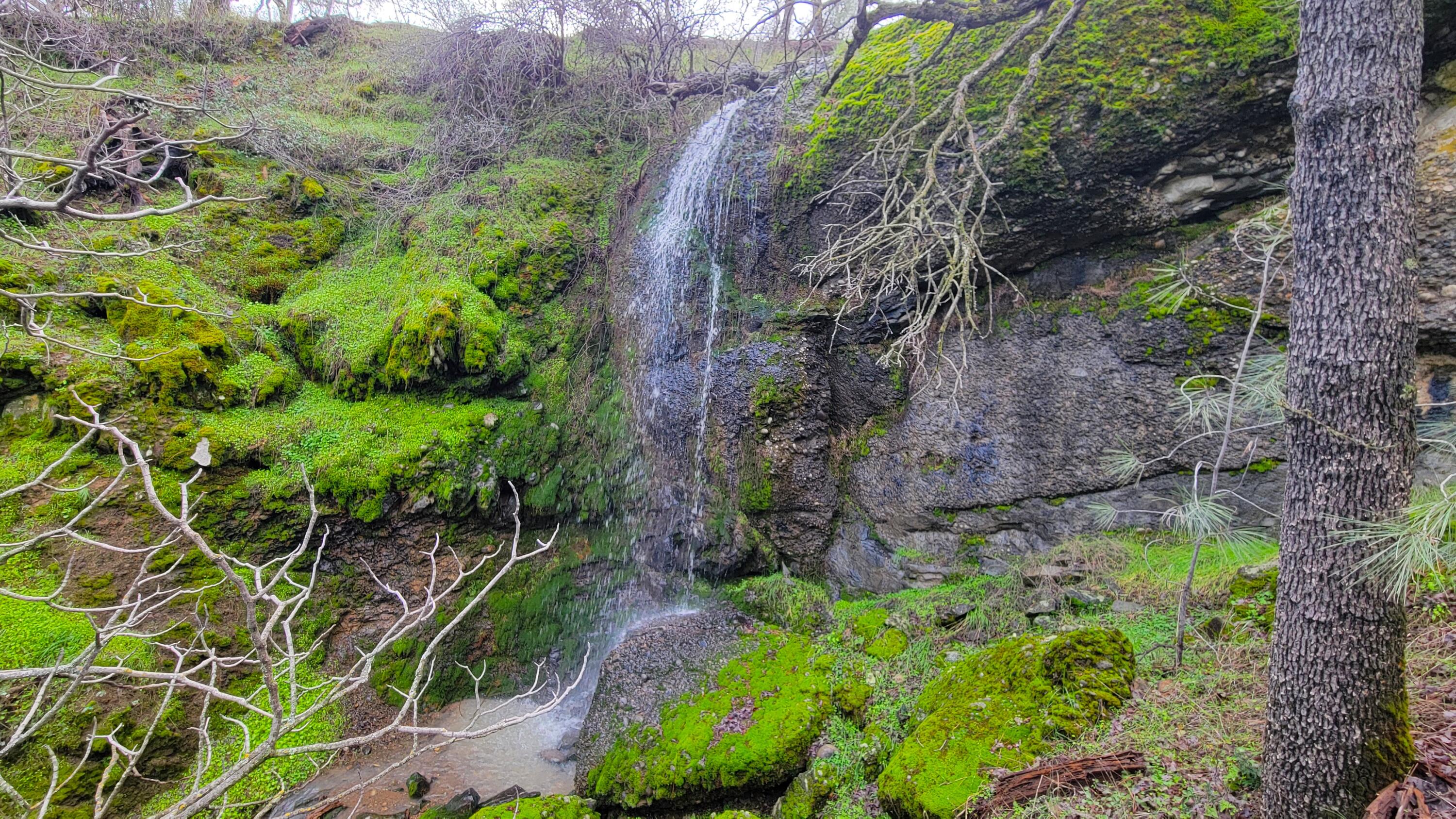 Lot 190 Straight Arrow Road Igo, CA 96047 - Photo 2 of 53 20260106_130758