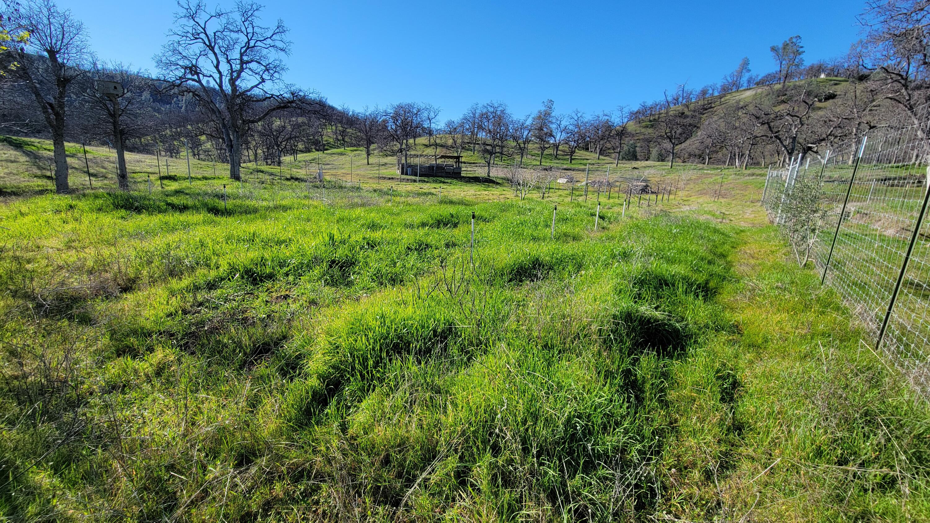 Lot 190 Straight Arrow Road Igo, CA 96047 - Photo 30 of 53 20260117_115720