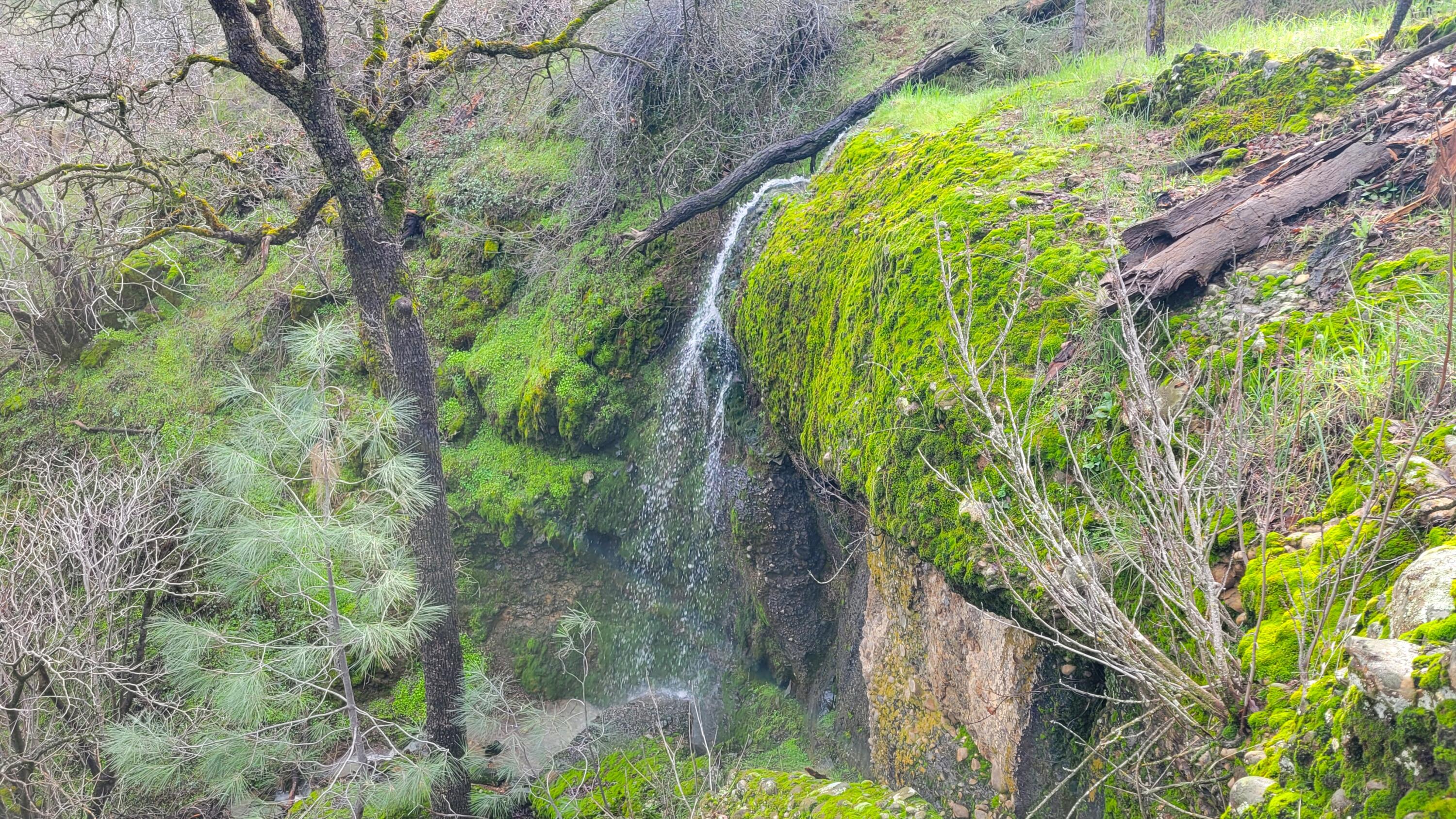 Lot 190 Straight Arrow Road Igo, CA 96047 - Photo 3 of 53 20260106_131511