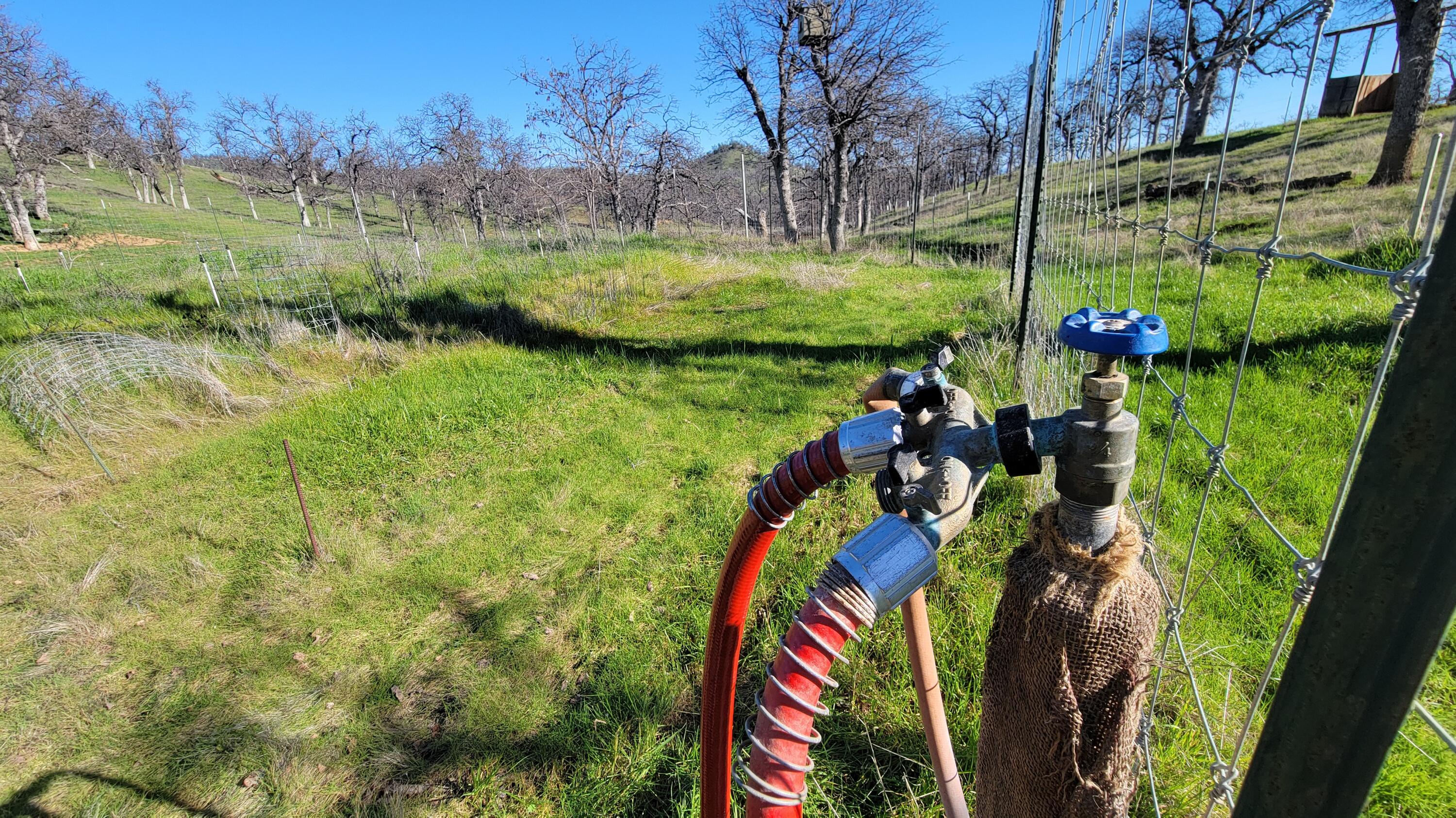 Lot 190 Straight Arrow Road Igo, CA 96047 - Photo 32 of 53 20260117_115958