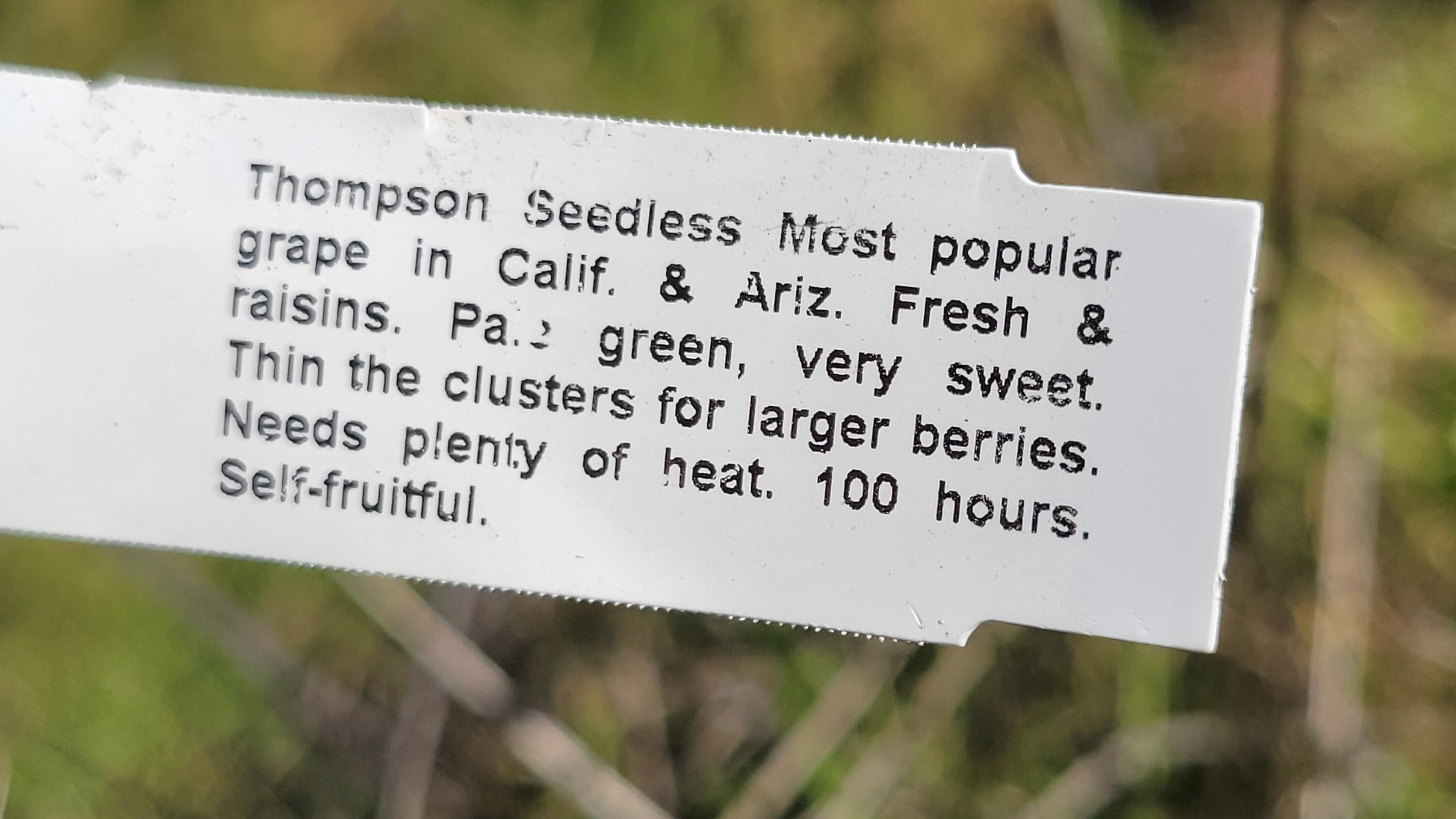 Lot 190 Straight Arrow Road Igo, CA 96047 - Photo 33 of 53 20260117_120145