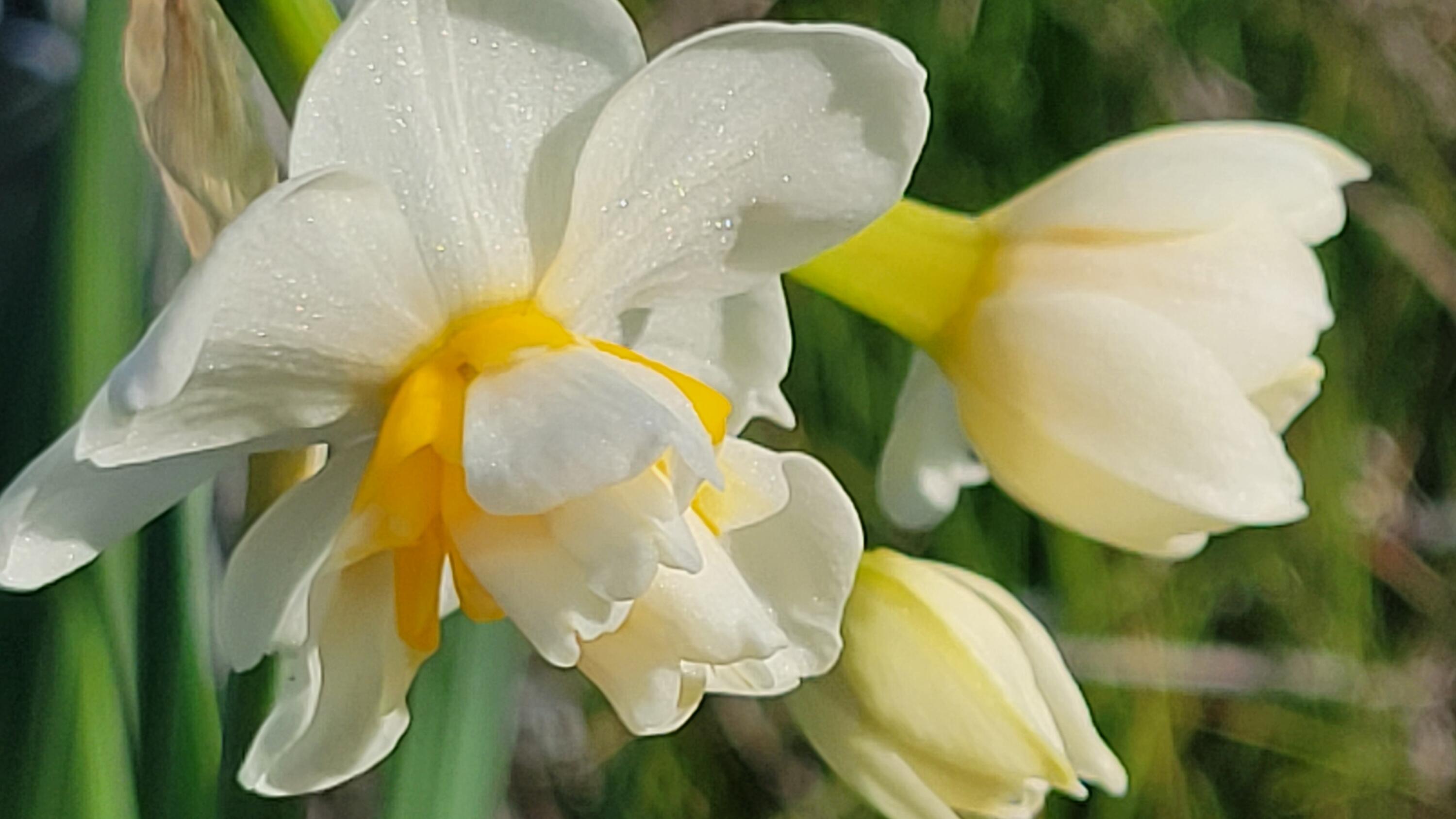 Lot 190 Straight Arrow Road Igo, CA 96047 - Photo 36 of 53 20260117_120702