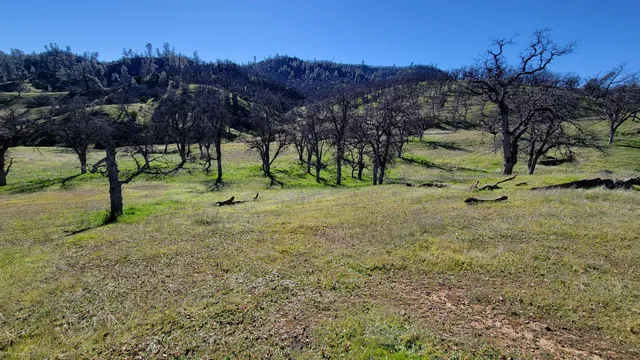 $119,500 | Lot 190 Straight Arrow Road, Igo, CA 96047