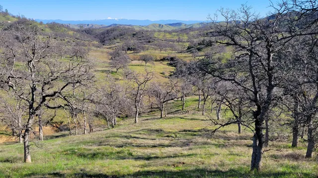 $119,500 | Lot 190 Straight Arrow Road, Igo, CA 96047