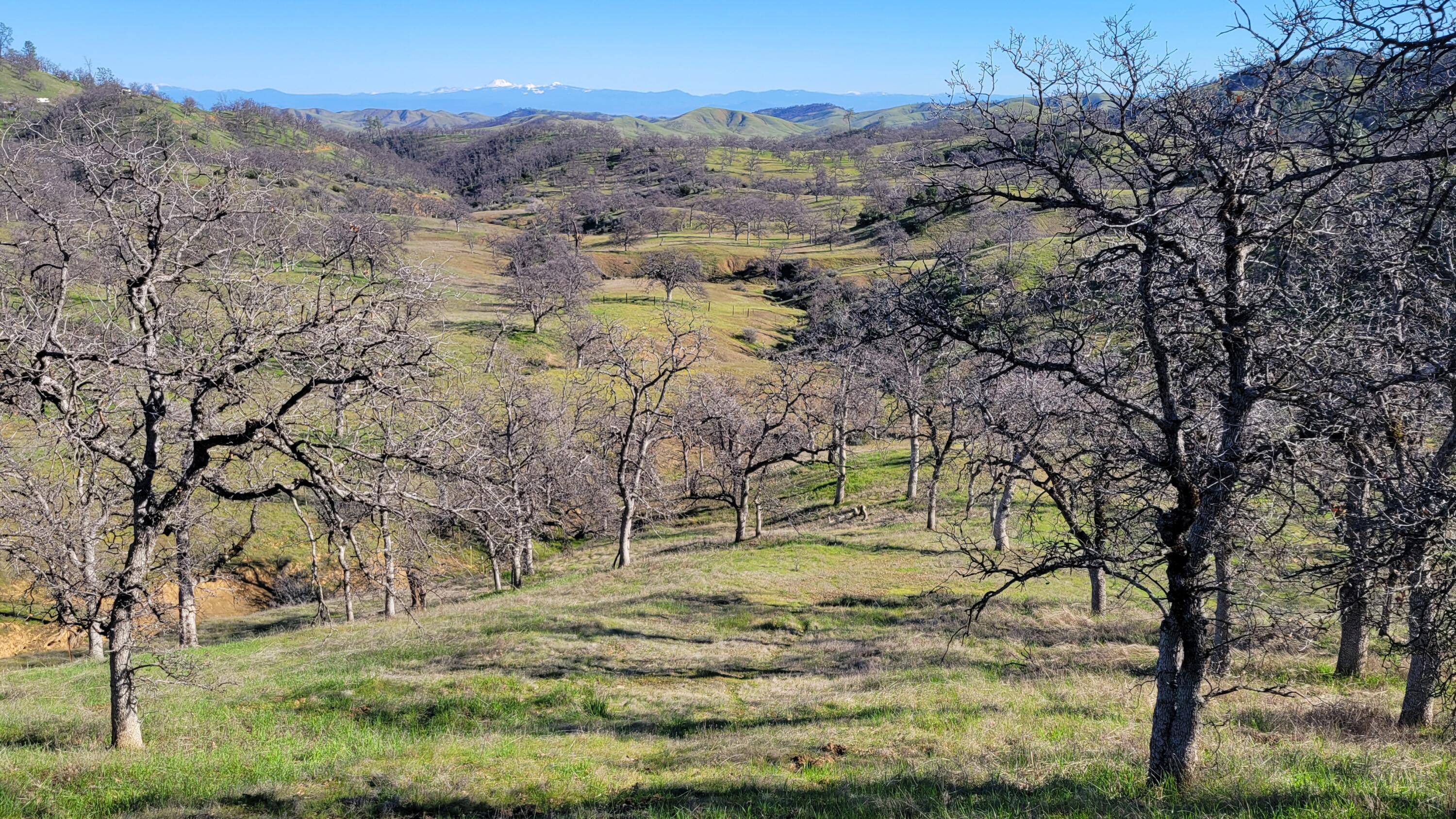 Lot 190 Straight Arrow Road Igo, CA 96047 - Photo 42 of 53 20260117_125225