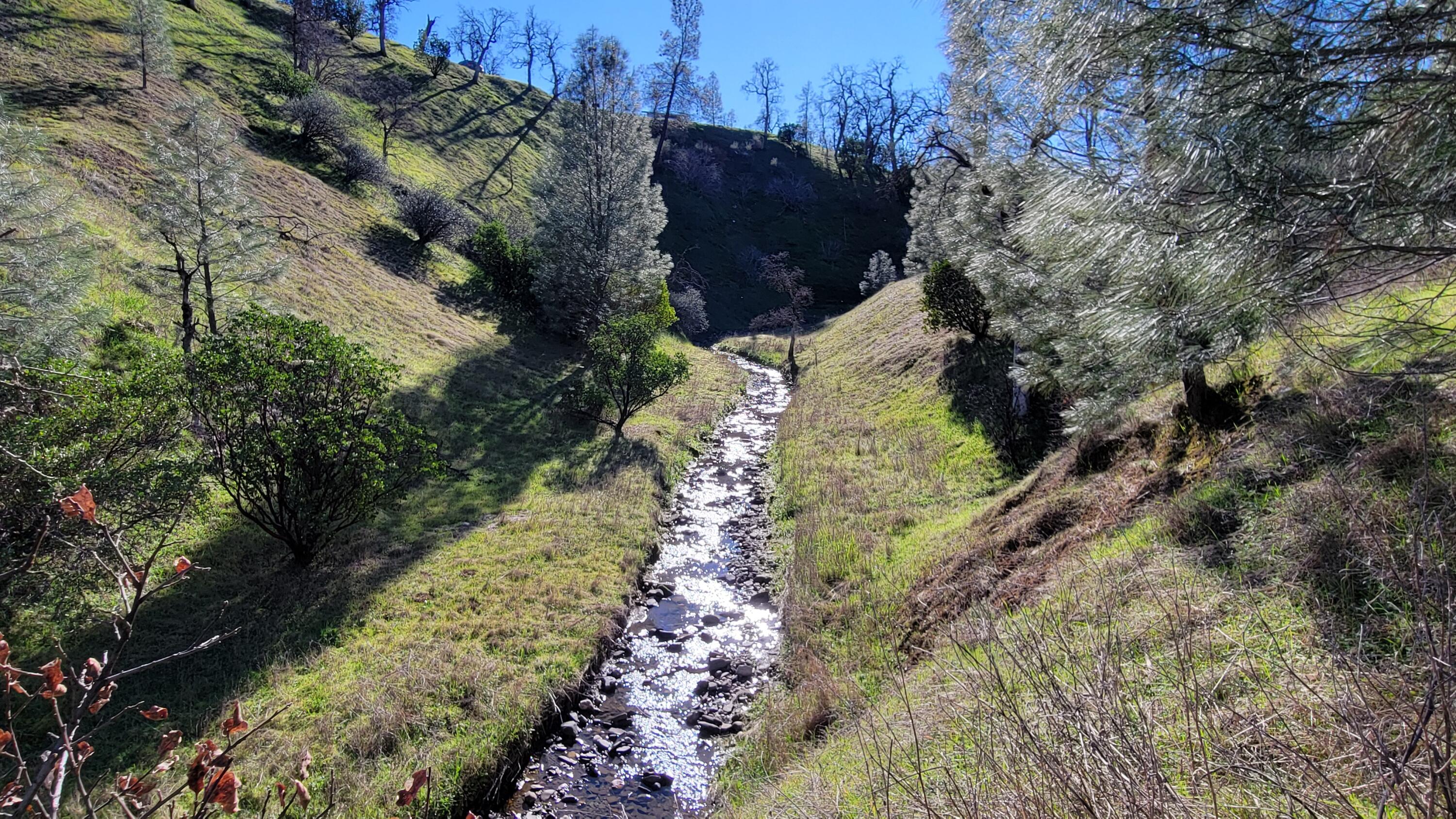 Lot 190 Straight Arrow Road Igo, CA 96047 - Photo 46 of 53 20260117_130826