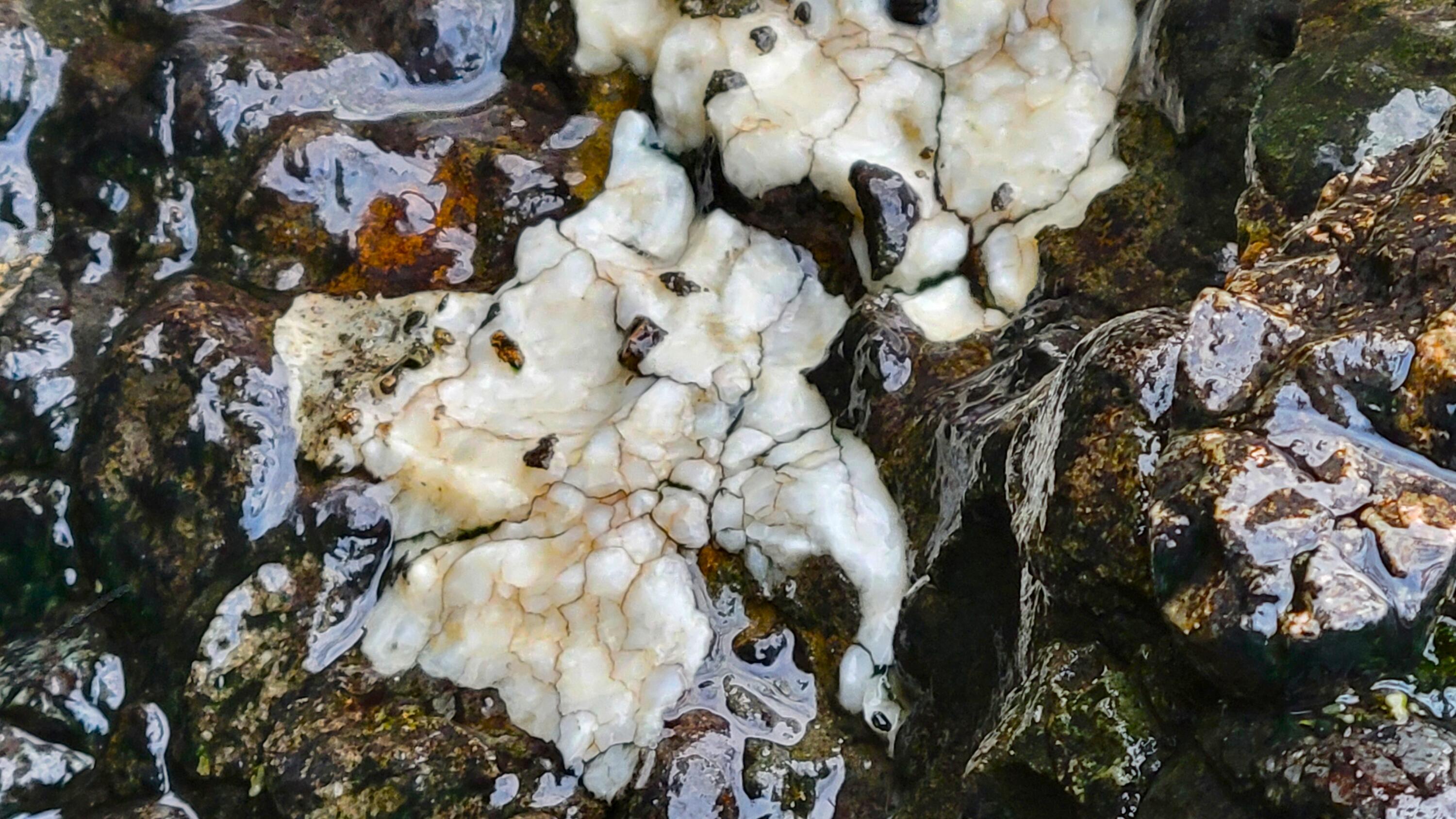 Lot 190 Straight Arrow Road Igo, CA 96047 - Photo 6 of 53 20260110_153338