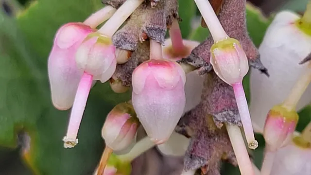 $119,500 | Lot 190 Straight Arrow Road, Igo, CA 96047