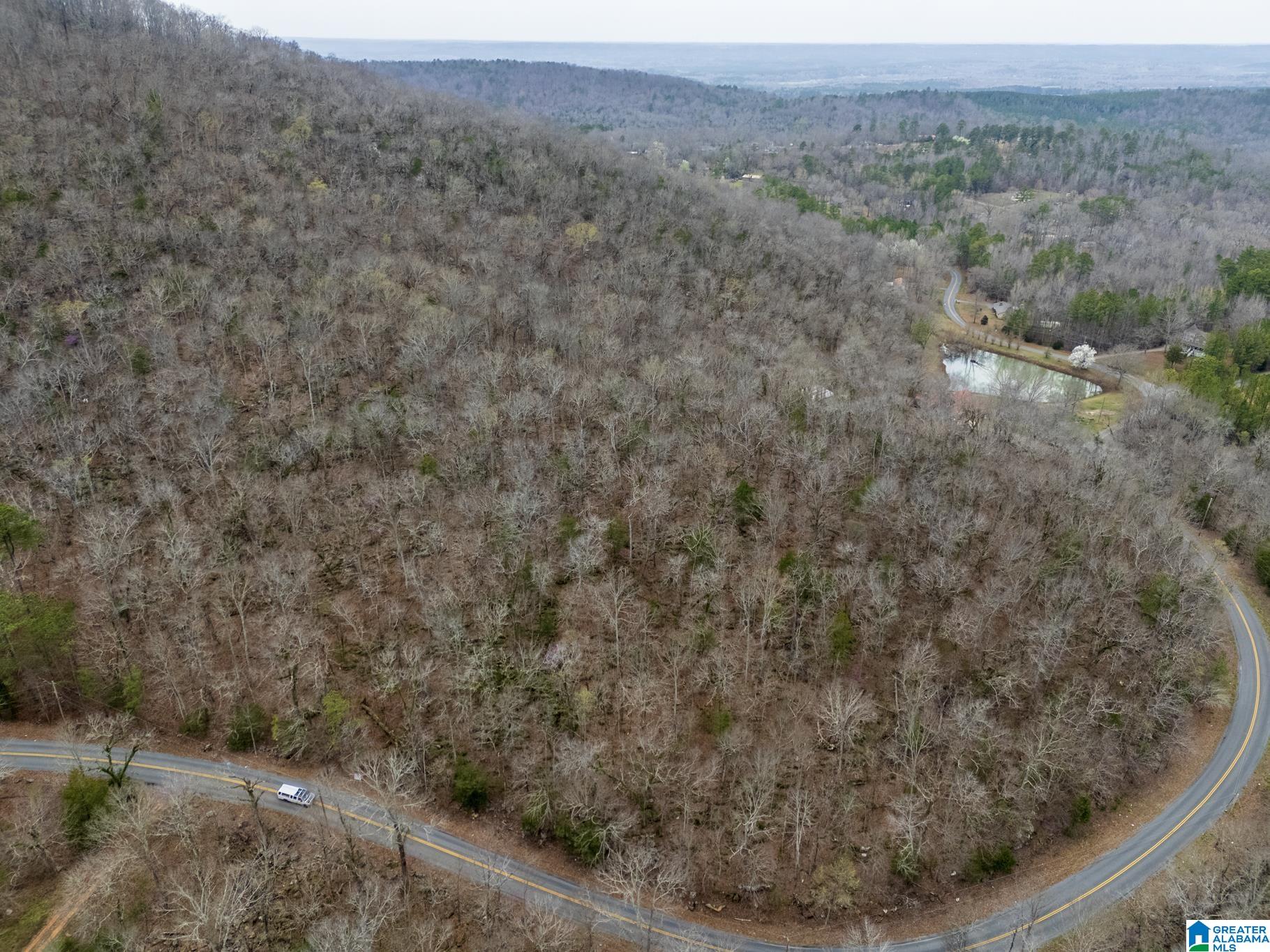 0 Valley Trail, Unit 496 Warrior, AL 35180 - Photo 15 of 31