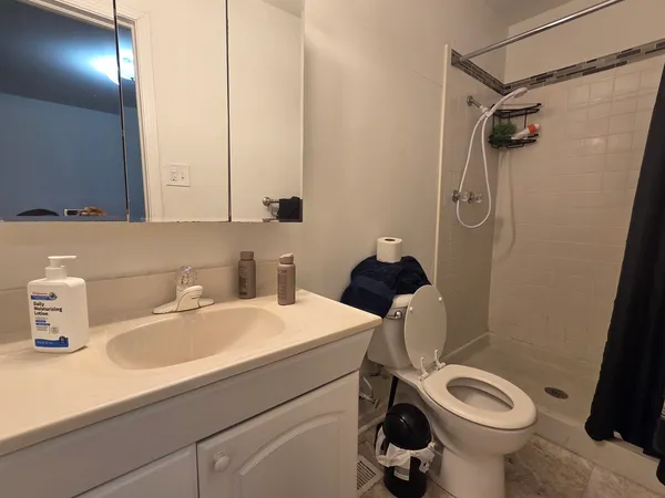 a bathroom with a sink a toilet and shower