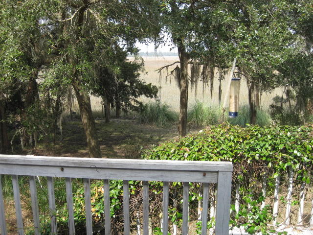 8449 Palmetto Pointe Road Edisto Island, SC 29438 - Photo 33 of 70 8449 Pal Pt (6)