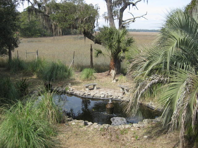 8449 Palmetto Pointe Road Edisto Island, SC 29438 - Photo 34 of 70 8449 Pal Pt (7)