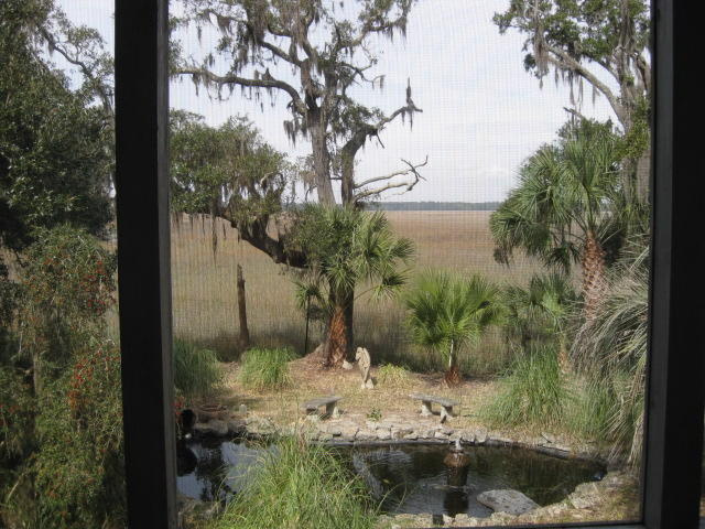 8449 Palmetto Pointe Road Edisto Island, SC 29438 - Photo 39 of 70 8449 Pal Pt (11)