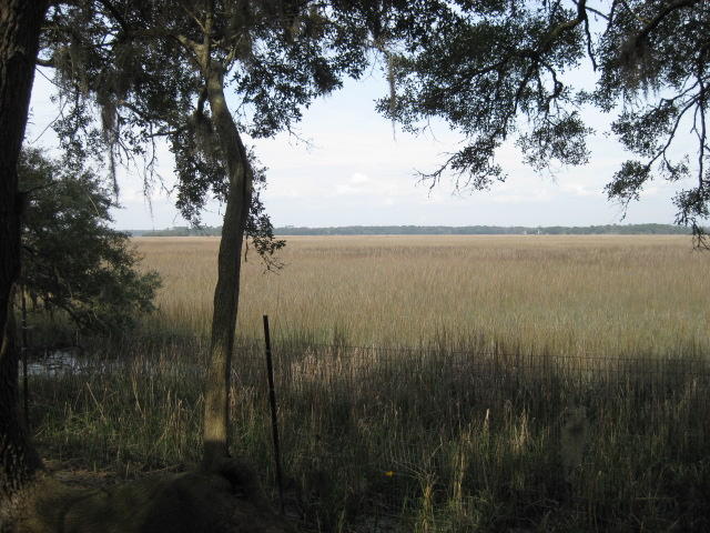 8449 Palmetto Pointe Road Edisto Island, SC 29438 - Photo 47 of 70 8449 Pal Pt (20)