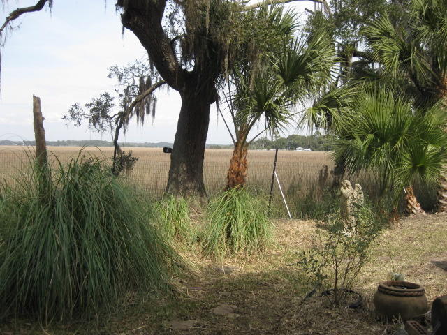 8449 Palmetto Pointe Road Edisto Island, SC 29438 - Photo 52 of 70 8449 Pal Pt (25)