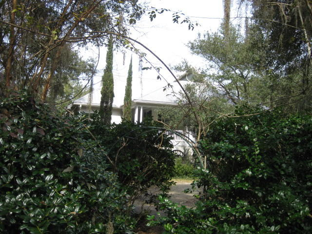 8449 Palmetto Pointe Road Edisto Island, SC 29438 - Photo 55 of 70 8449 Pal Pt (31)