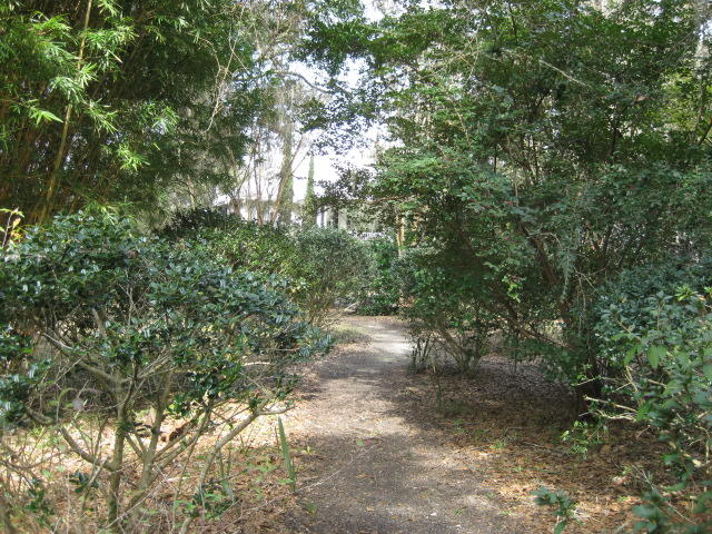 8449 Palmetto Pointe Road Edisto Island, SC 29438 - Photo 56 of 70 8449 Pal Pt (32)