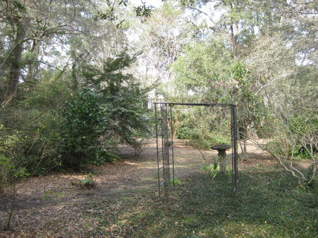 8449 Palmetto Pointe Road Edisto Island, SC 29438 - Photo 58 of 70 8449 Pal Pt (34)