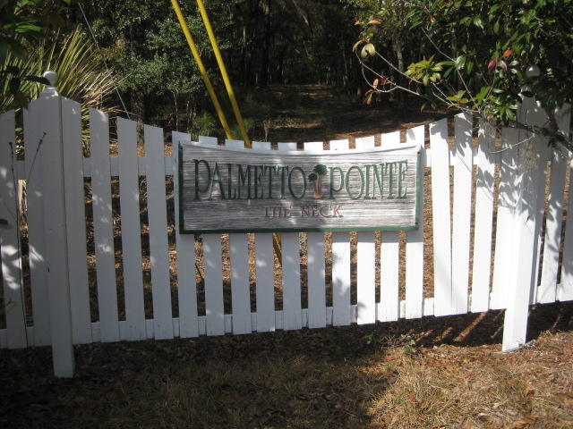 8449 Palmetto Pointe Road Edisto Island, SC 29438 - Photo 60 of 70 8449 Pal Pt (36)